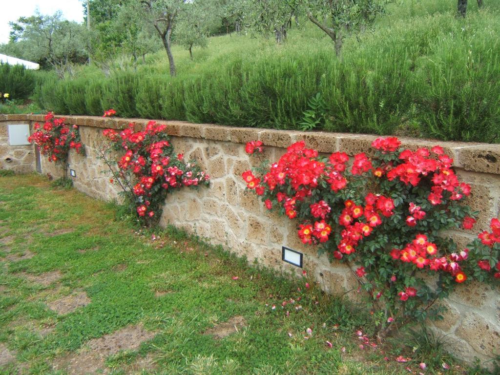 B&B Casaselita Orvieto Exterior foto